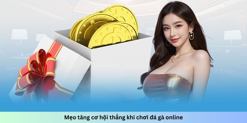 Mẹo tăng cơ hội thắng khi chơi đá gà online